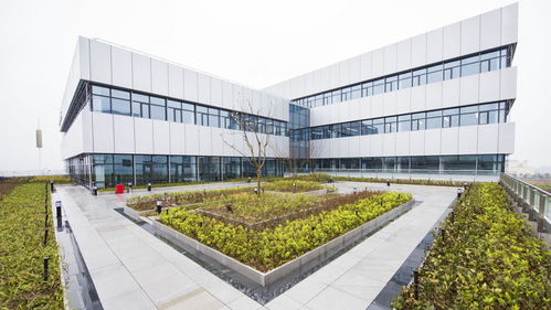 大陸集團2021財年銷售額338億歐元,同比增長6