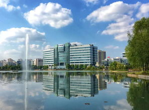 迎浦東開發開放27周年系列 企業為何而來 這里有 最適合創業的土壤