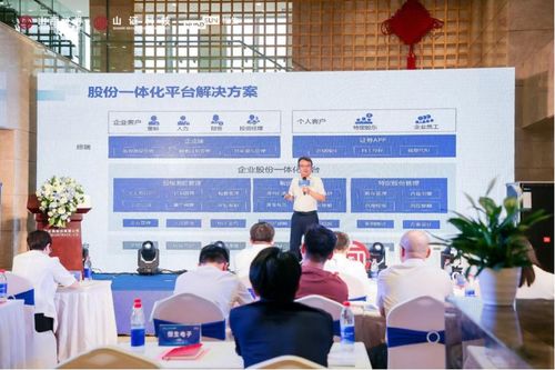 山西證券股權(quán)激勵(lì)管理系統(tǒng) 以智慧陪伴企業(yè)成長(zhǎng)，共筑未來(lái)新篇章